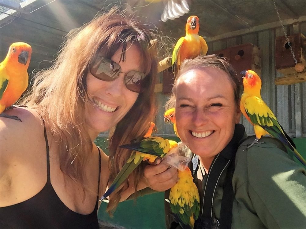 Jardin del Papagayo | Vogeldierentuin Benicarlo